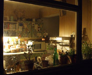 View through the kitchen window