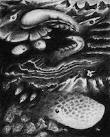 Intense pencil drawing of sea-like organic forms small drawing