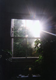 Sun rays through a sash window highlight plants and a table with a candle Photograph of the sun shining through a window